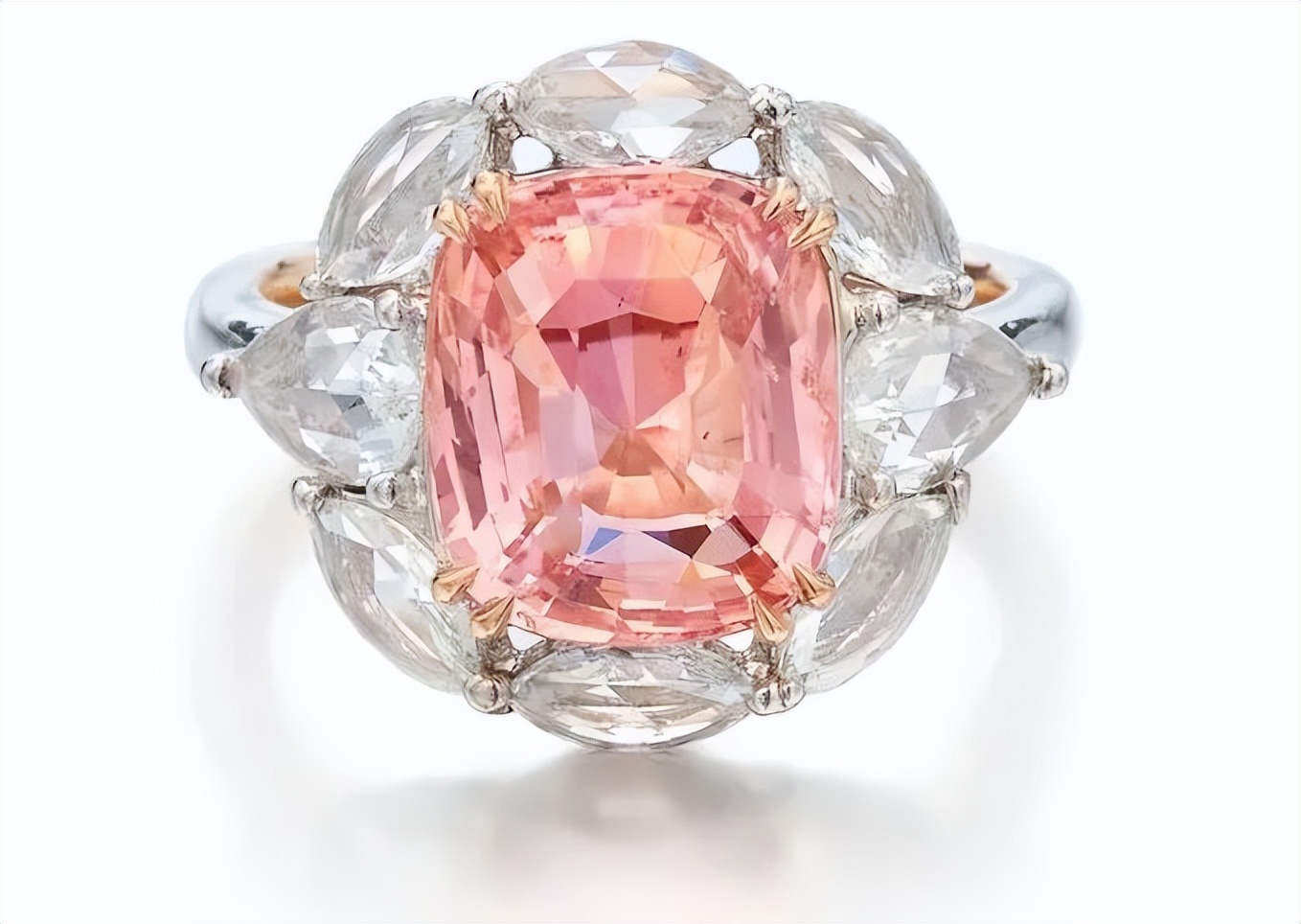 鑺彔,鑺彔鐝犲疂