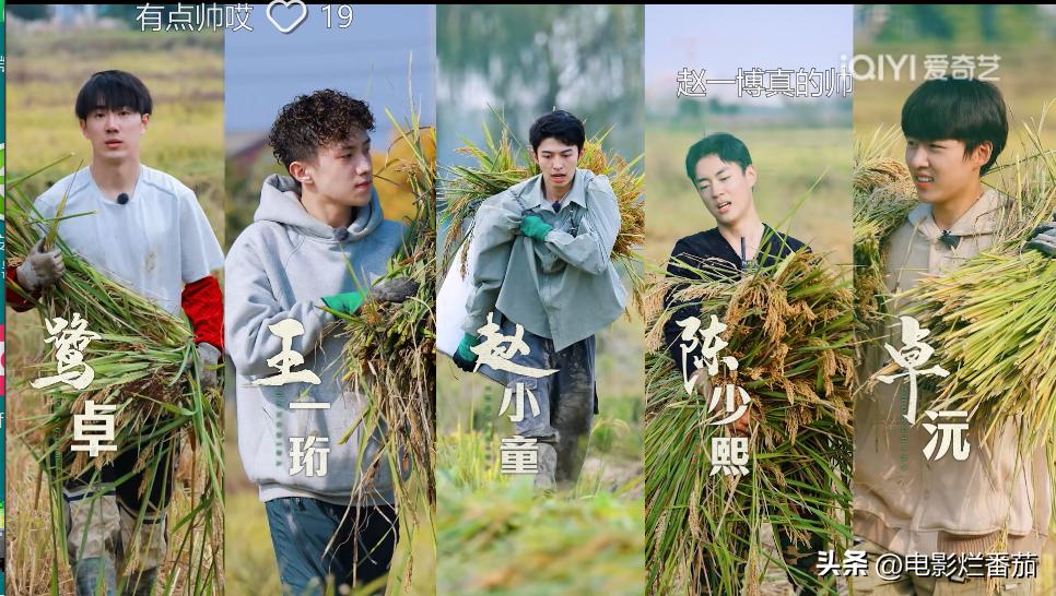 从豆瓣8.4到9.0分，这群认真种地的少年们，值得被所有人看见