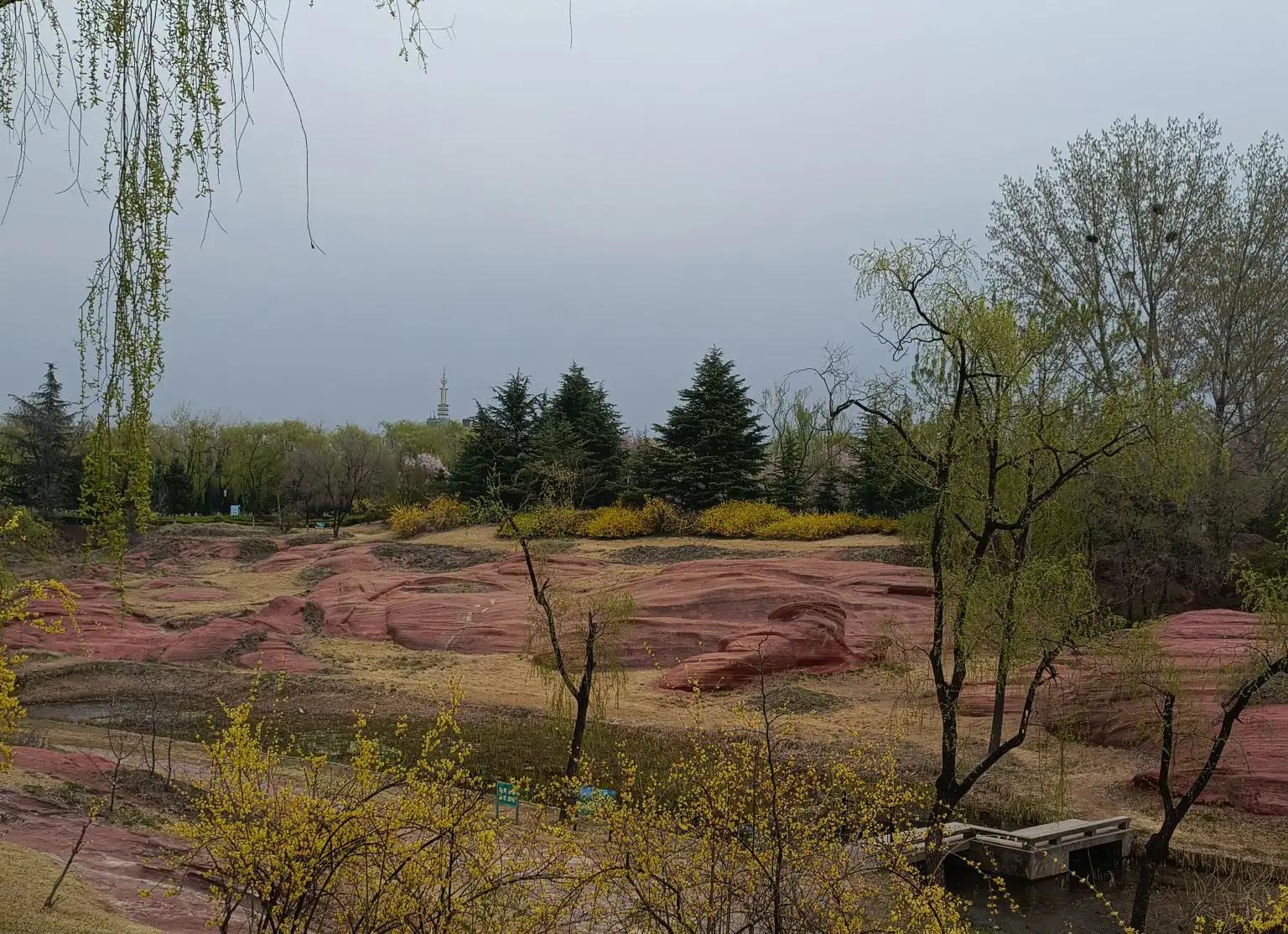 杨柳依依七律诗词,杨柳依依的七律诗