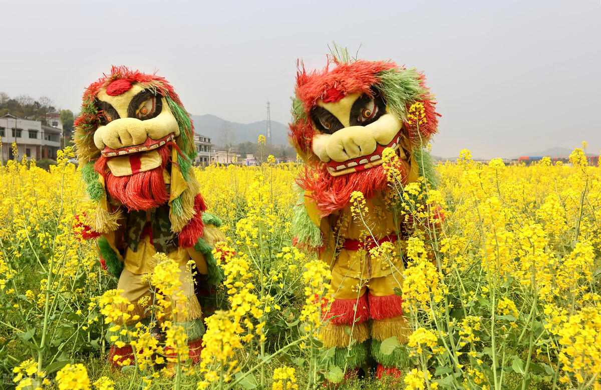 农村舞狮介绍,闽南舞狮大全