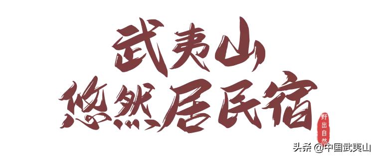 武夷山反响,武夷山茶香美宿