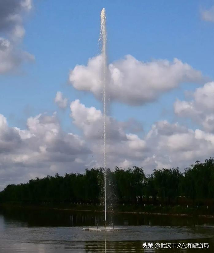 花朝河湾邀您来赏花,花朝河湾旅游景区本地人要门票吗