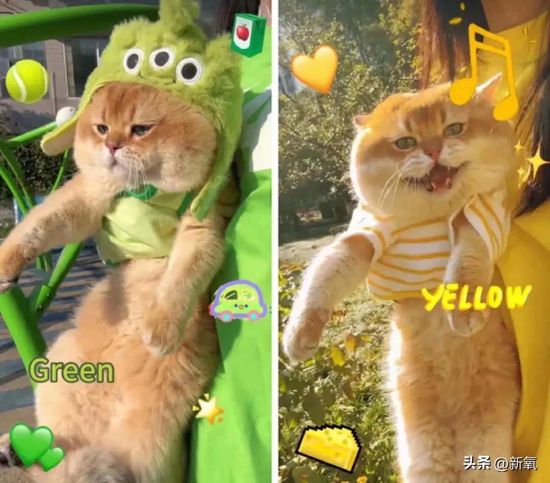 多巴胺穿搭视频教程,不同版本多巴胺穿搭