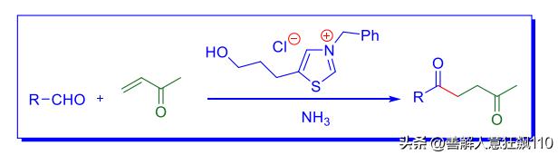 有机合成人名反应第11天:Stetterreaction