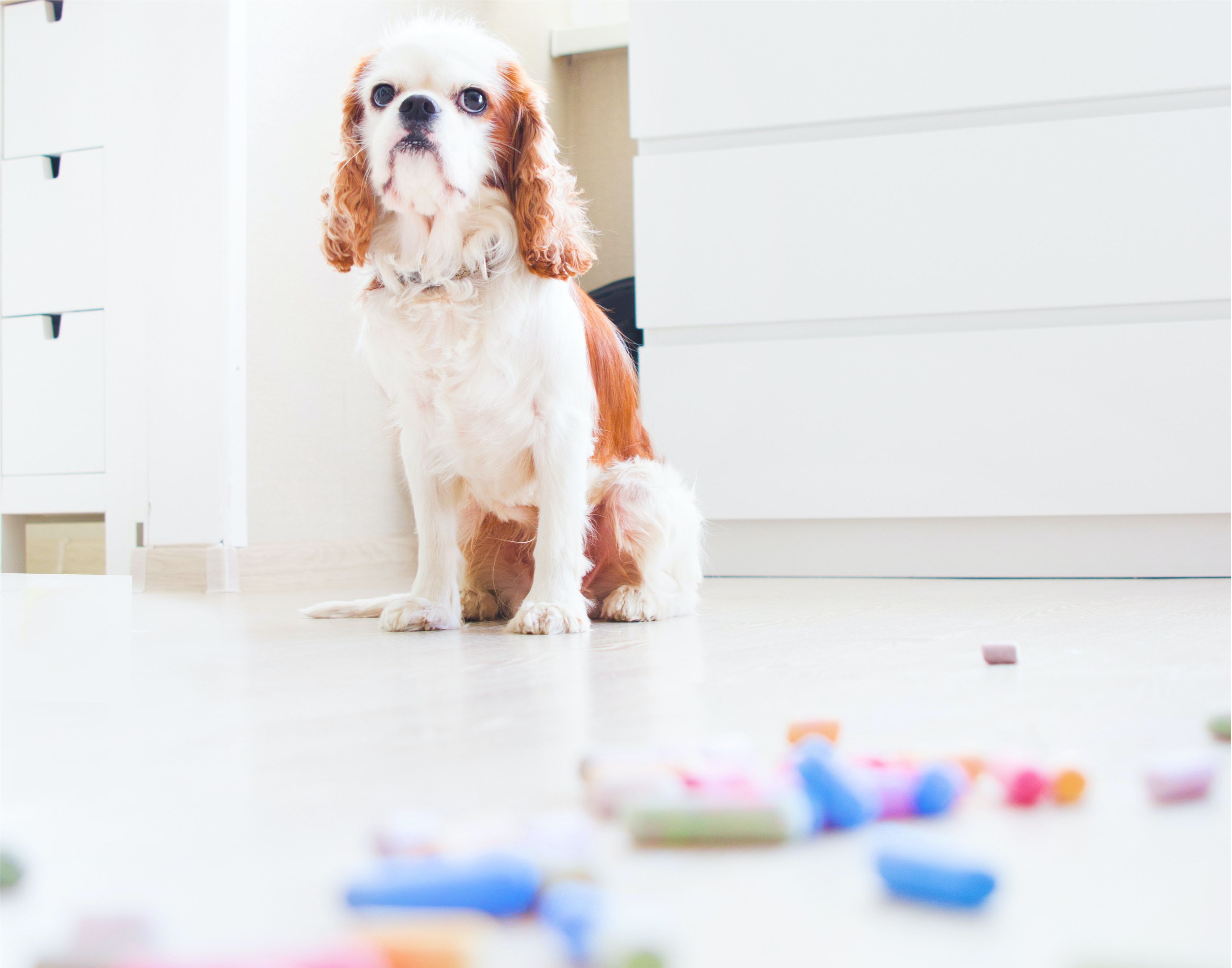 跨境贸易生意难的本质,跨境贸易是怎么挣钱的