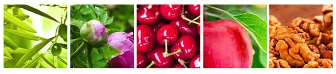 日本suqqu粉霜色号,suqqu粉霜新款