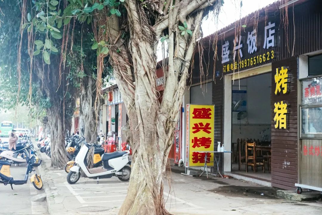 早餐烤乳猪，海鲜论盆卖？这座海岛小城舒坦得有点离谱了