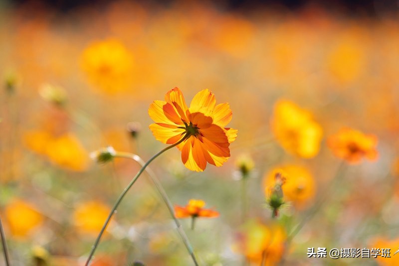 拍风景照片的摄影技巧,风景摄影入门初学者拍照技巧