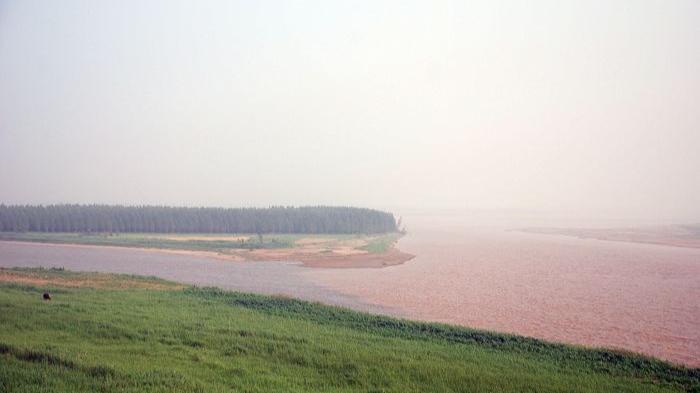 白居易最经典的七言律诗,白居易最简单的五言绝句
