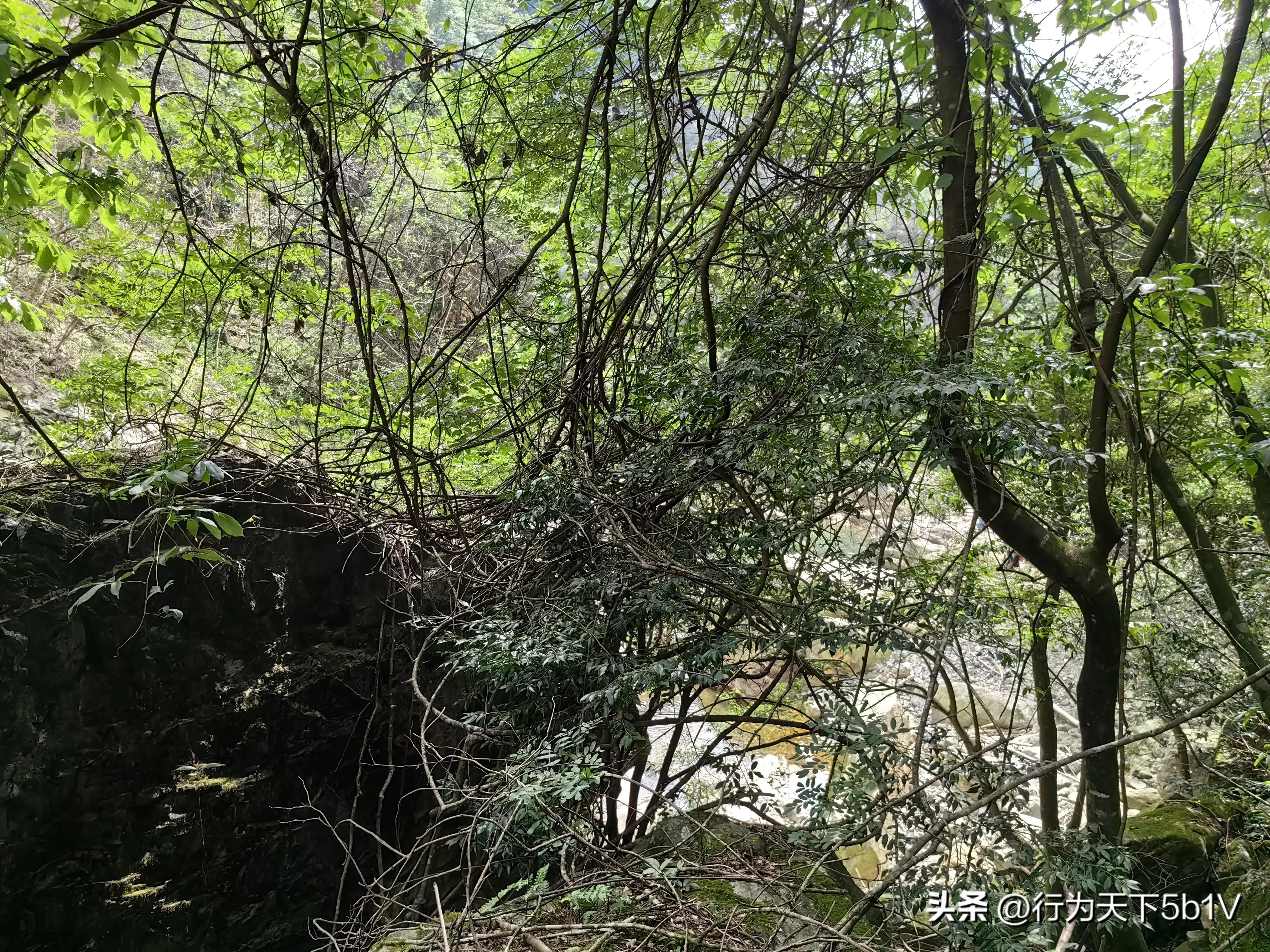 【探秘金紫山下的清凉秘境】行走在资源资江源大峡谷的风景线上