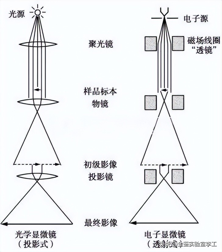 tem电子显微镜解析视频,透射电子显微镜tem操作步骤