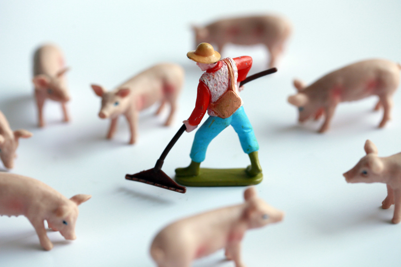 董宇辉卖玉米喂牲口,董宇辉算是助农吗