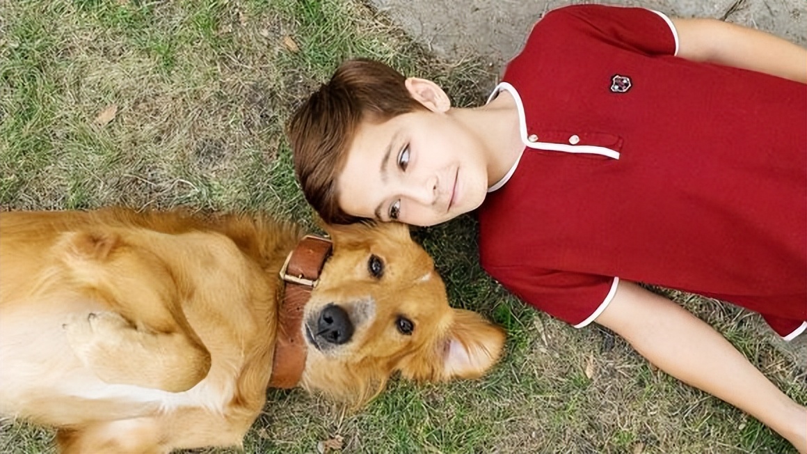 聪明的贝利，表明了动物与人之间的羁绊，表明动物也是有生命的