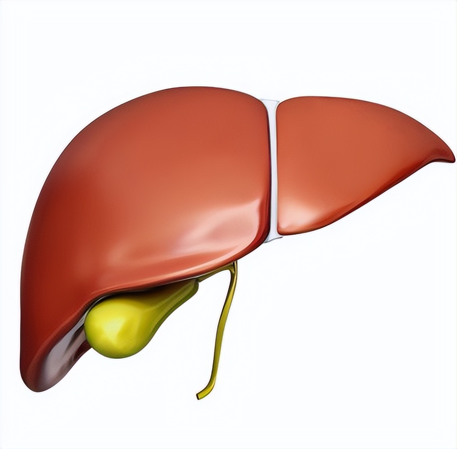 中药里面的佛手功效与作用是什么,中药佛手吃了治什么