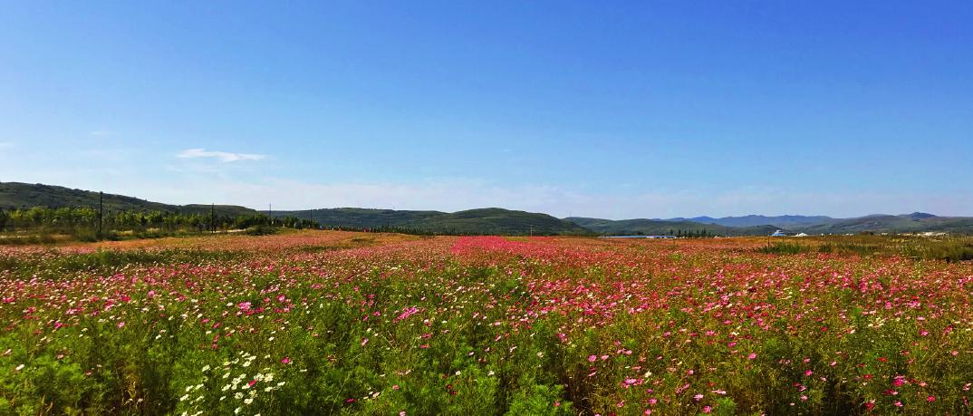 乡镇一把手必读|2023年乡镇旅游发展重点