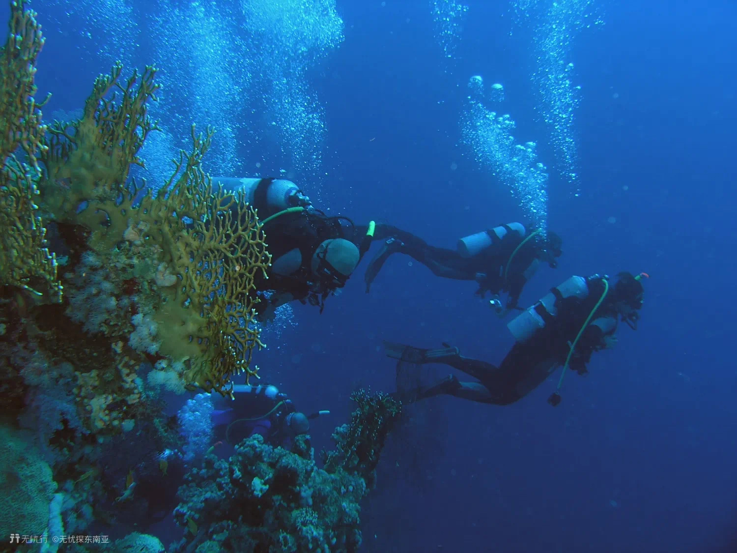 带你体验马尔代夫,马尔代夫白马庄园体验