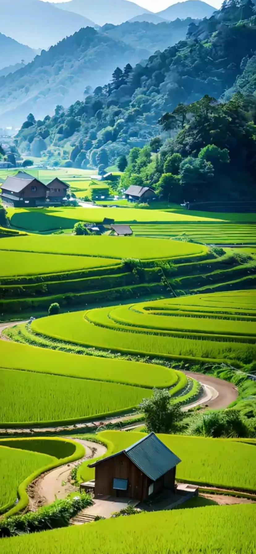 赏田园风光图片,美在深秋田园风光图片