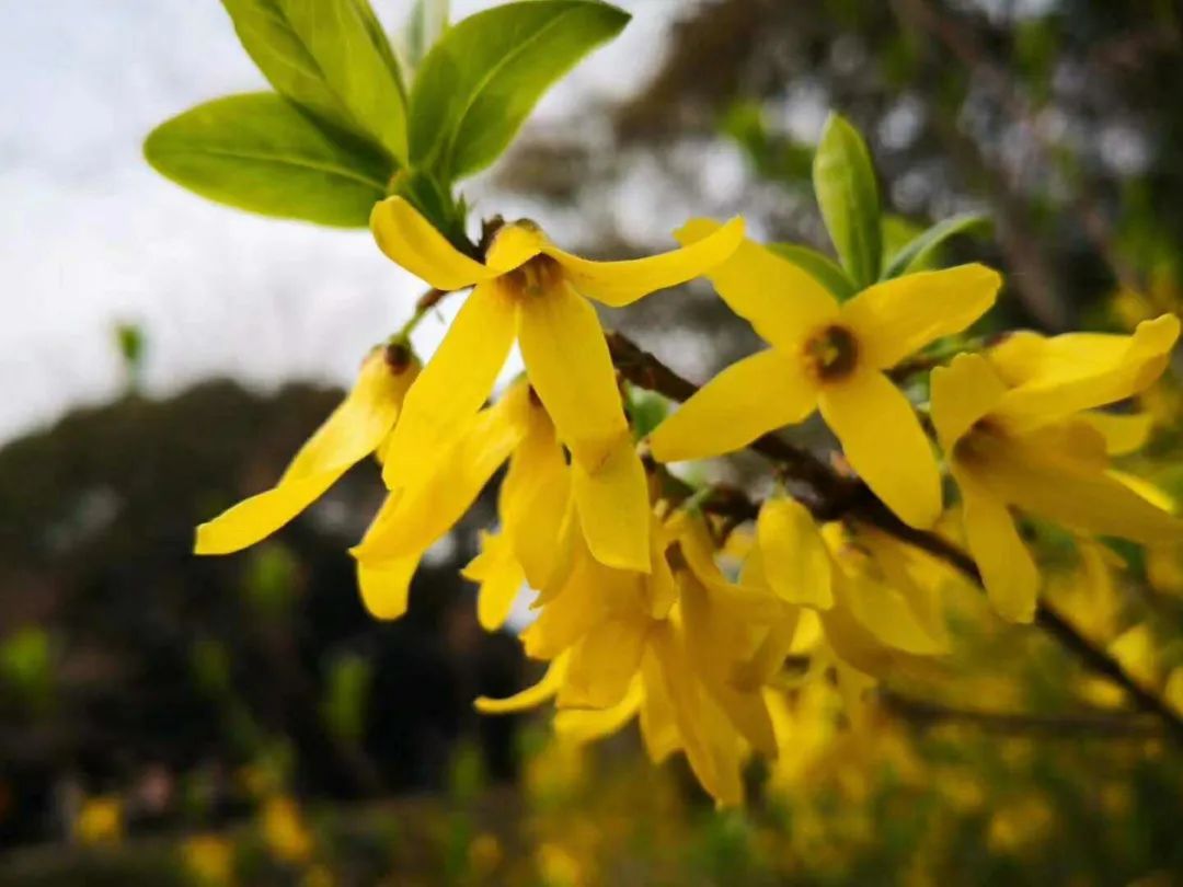 春装文案短句干净,春装爆款热卖文案