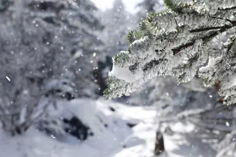 五一推荐昆明一日游,昆明旅游爬山地方推荐一日游