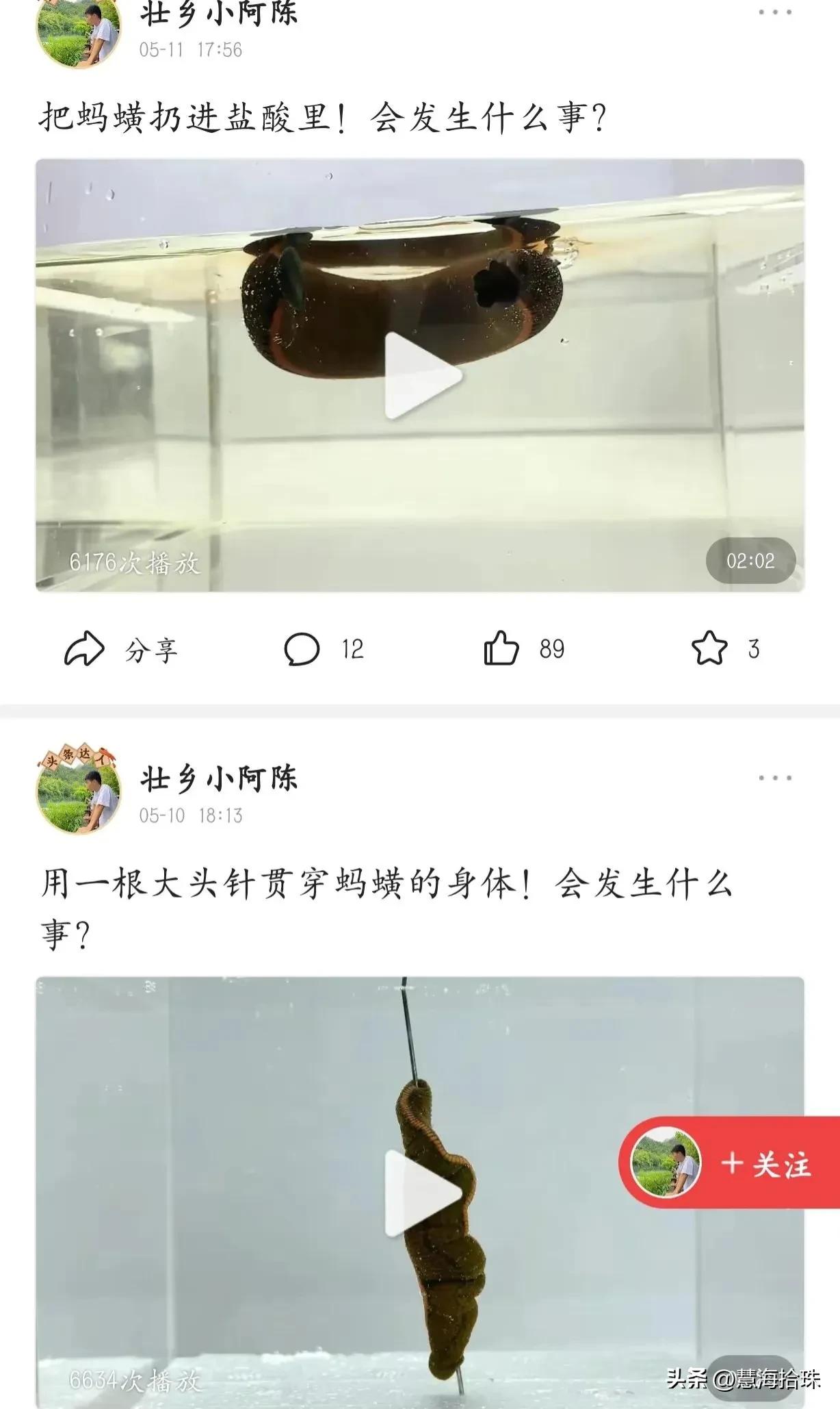 为什么有些人喜欢杀动物,为什么有人会虐猫或虐狗