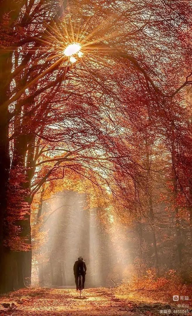 画意风光,画意风光摄影