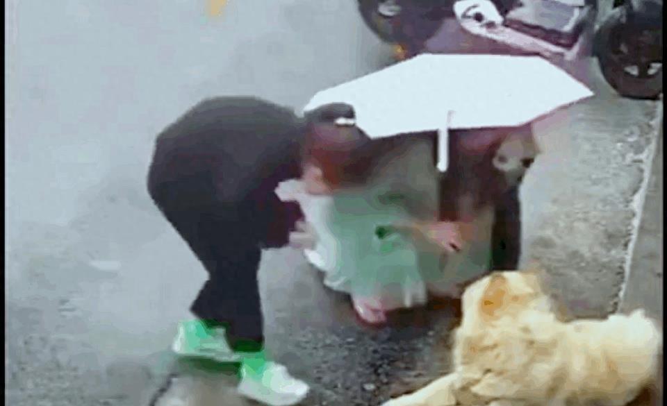 狗咬女人的事件原因,狗咬女孩子事件