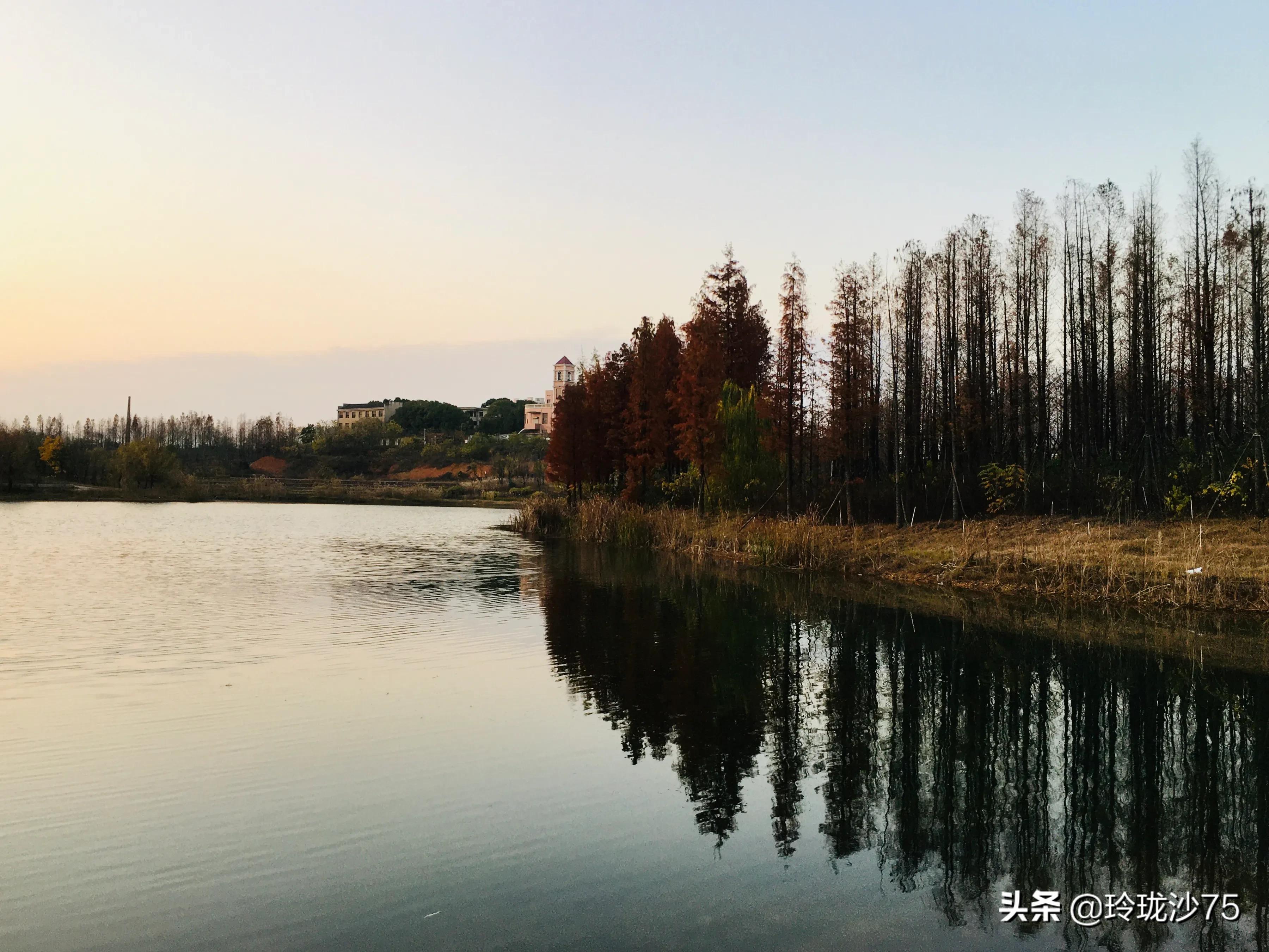 长沙风景美丽的篮球场,长沙王陵公园生态足球场