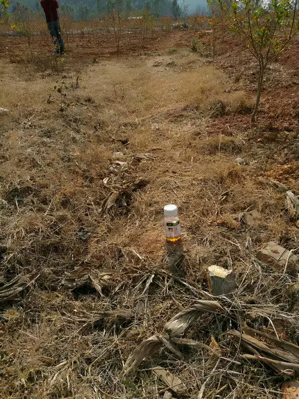 2016年，农妇怀疑前夫出轨，将其*裤内**浸泡百草枯，致前夫病重身亡