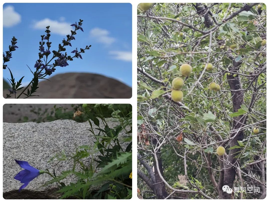 白虎涧为什么被称为北京的后花园,北京名胜白虎涧