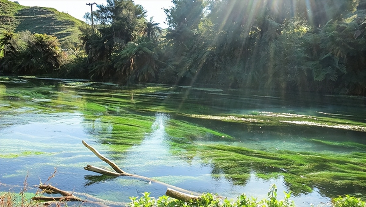 开拓大湾区：香港贸发局支援港商开拓内地网购市场