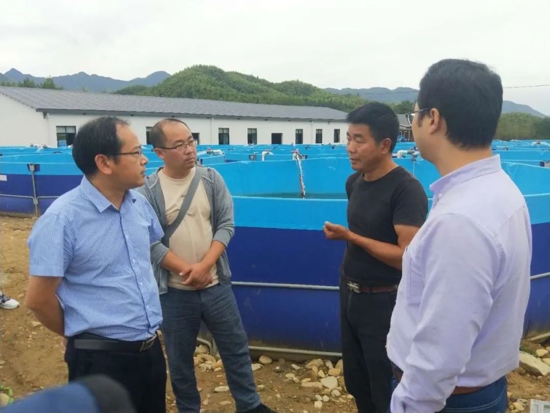 听说,浙师有位能给鱼看病的医生……