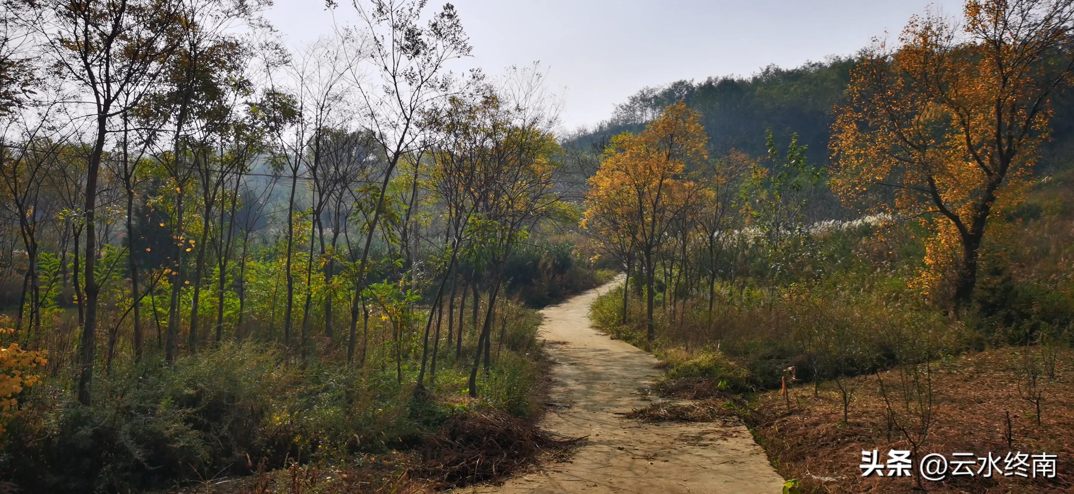 享个清福！到少有人知的峙峪看看漫山红叶，喝喝住山人清茶