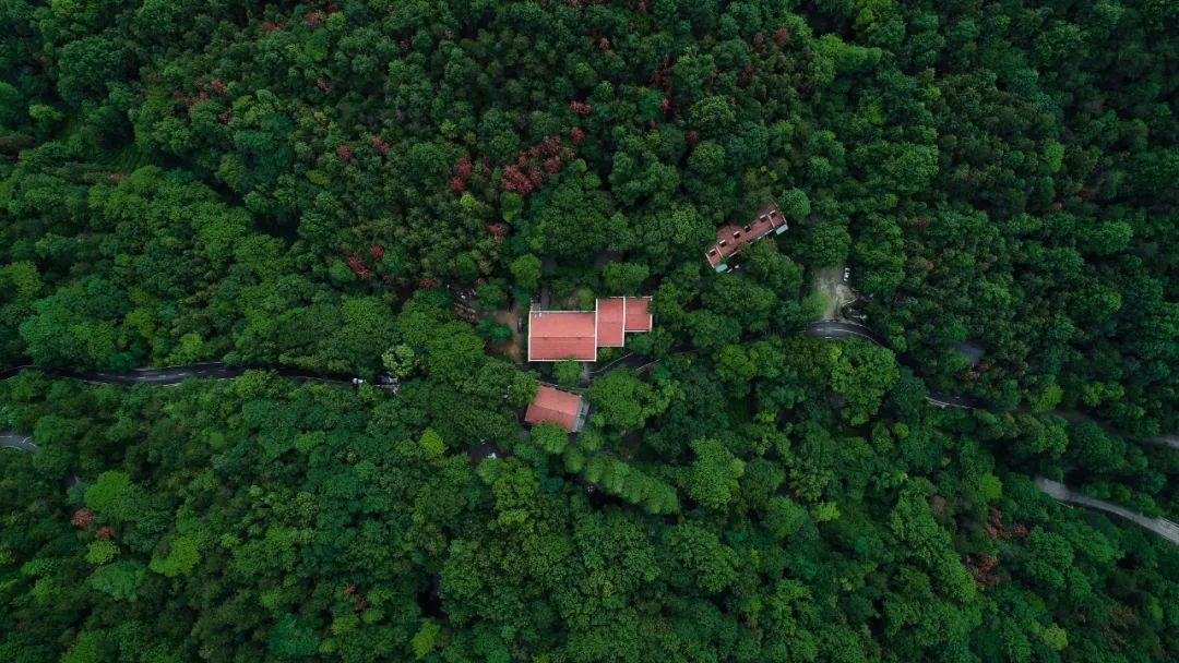 武汉周边6个最美古镇民宿,武汉这边有没有特别浪漫的民宿