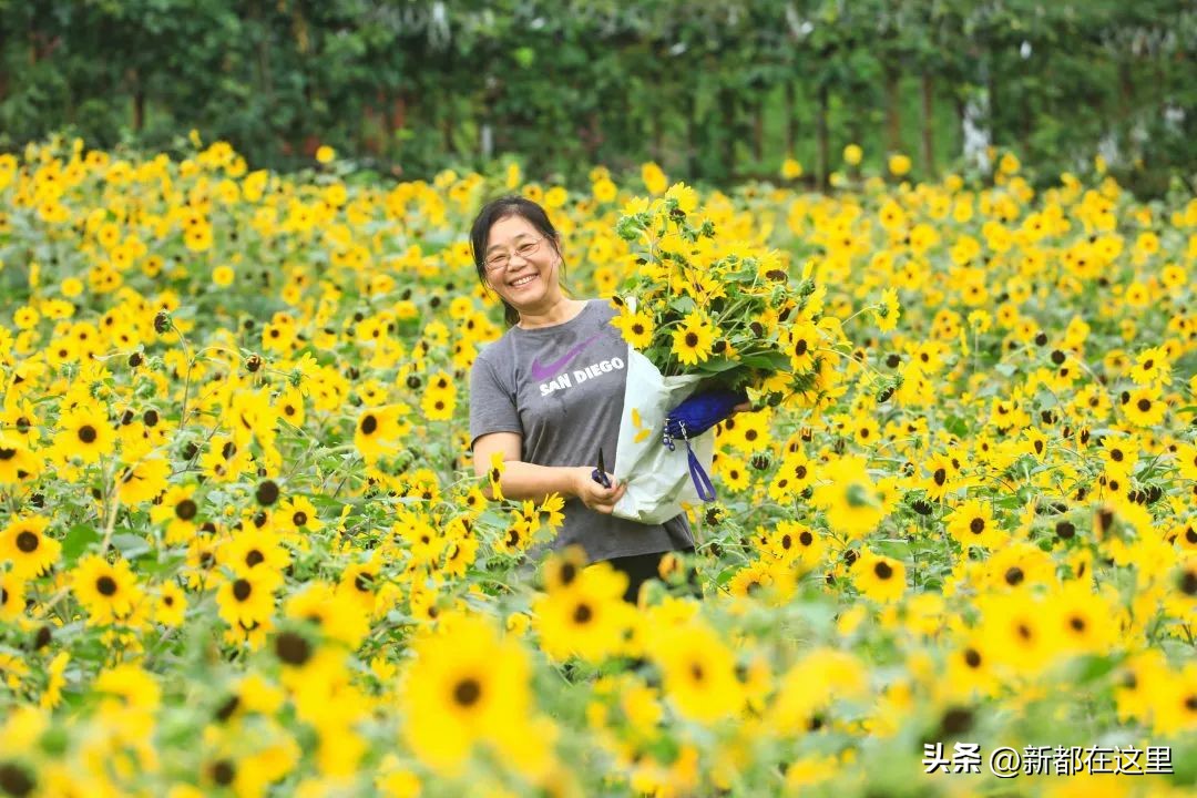 端午节来成都,成都端午节有什么讲究