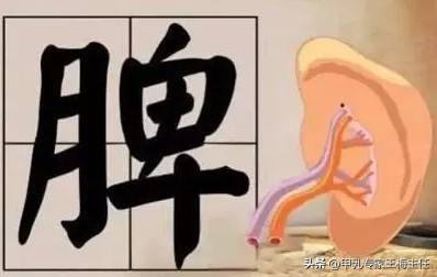 慢性咽炎的五味中药,咽炎名方张仲景