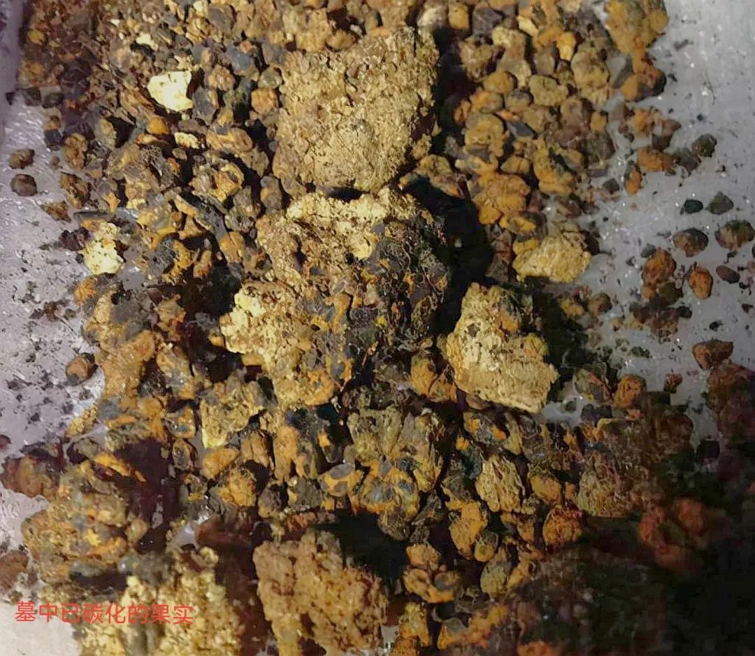 小时候番茄的味道描述,小时候的番茄味儿