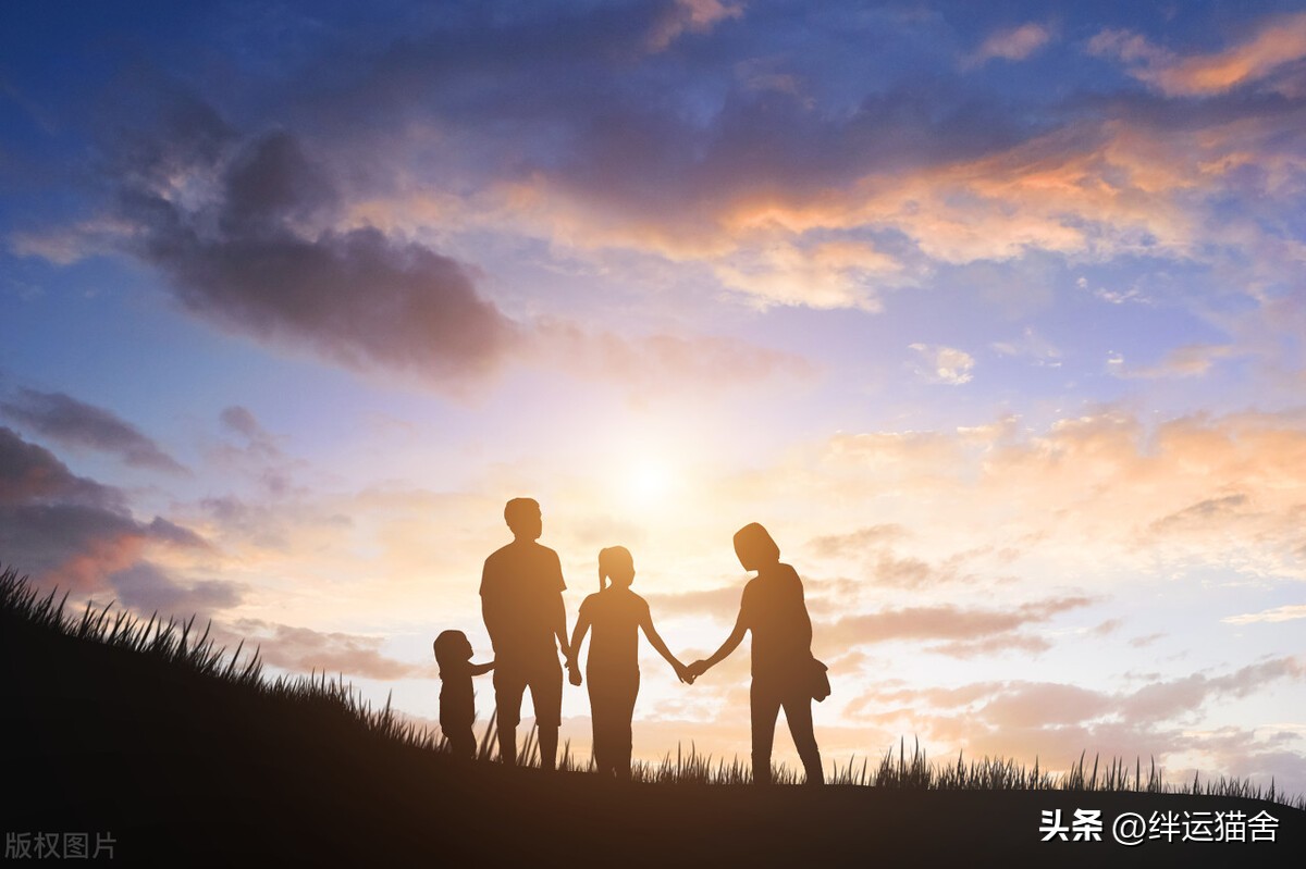 想开一家旅行社应该怎么做,怎样开设一家旅行社