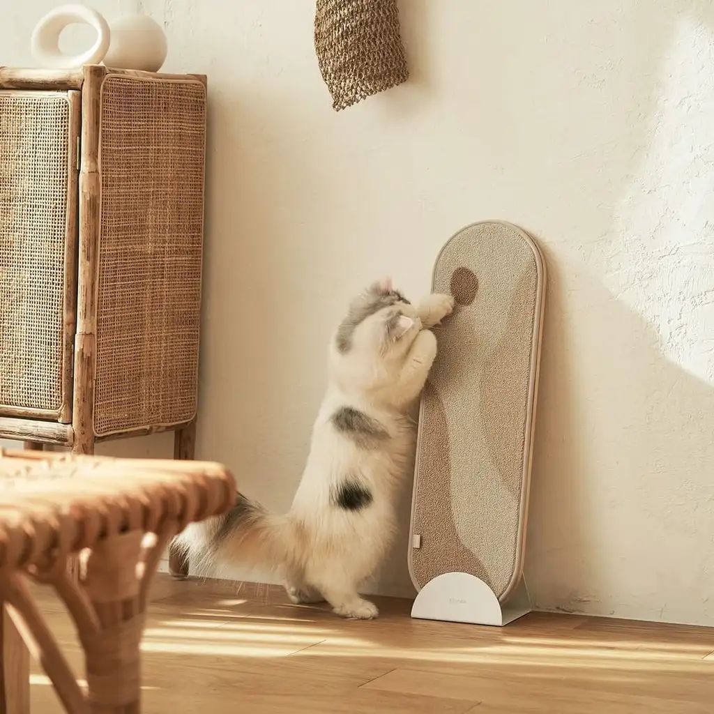 为宠物而设计,极简宠物产品