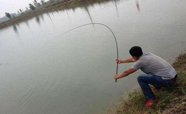 8字溜鱼法什么原理,手竿8字遛鱼技巧视频