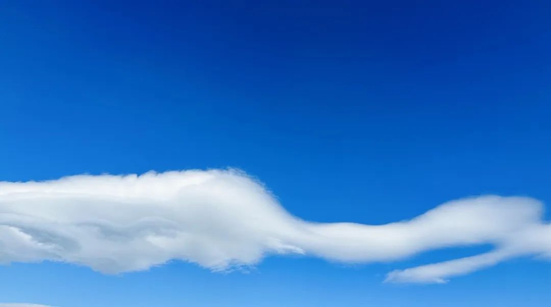 冬季洱海看海鸥最佳地方,这个冬天洱海该有多浪漫