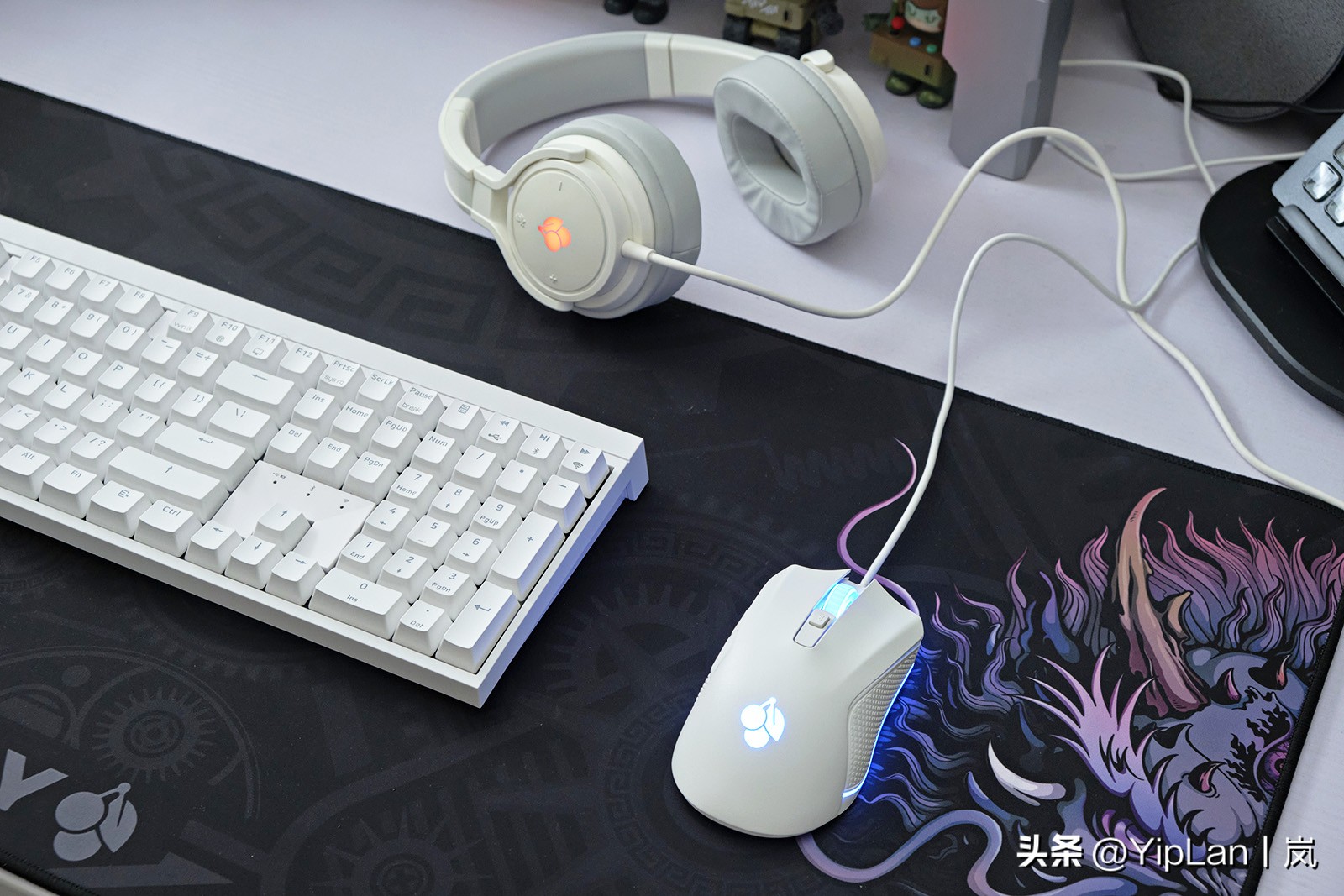 cherry澶栬鎺ㄨ崘,cherry澶栬鍜嬫牱