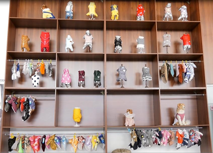 奋斗者正青春活动意义,奋斗者正青春建筑行业