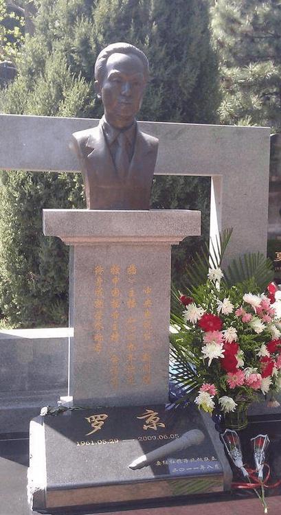 罗京去世后他妻子怎么样了,罗京去世后的照片