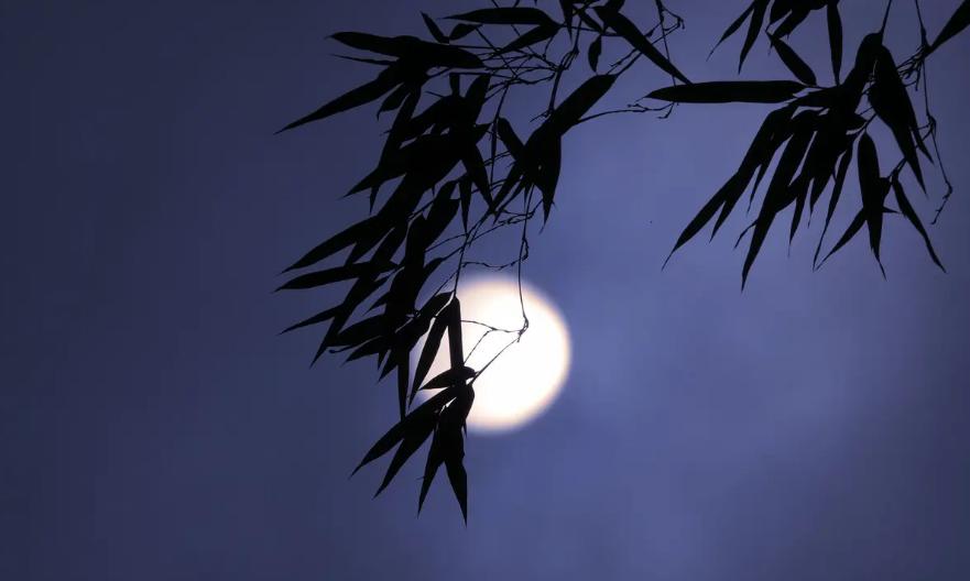 《月夜》古诗词鉴赏6篇,月夜的诗词有哪些表达了什么情感