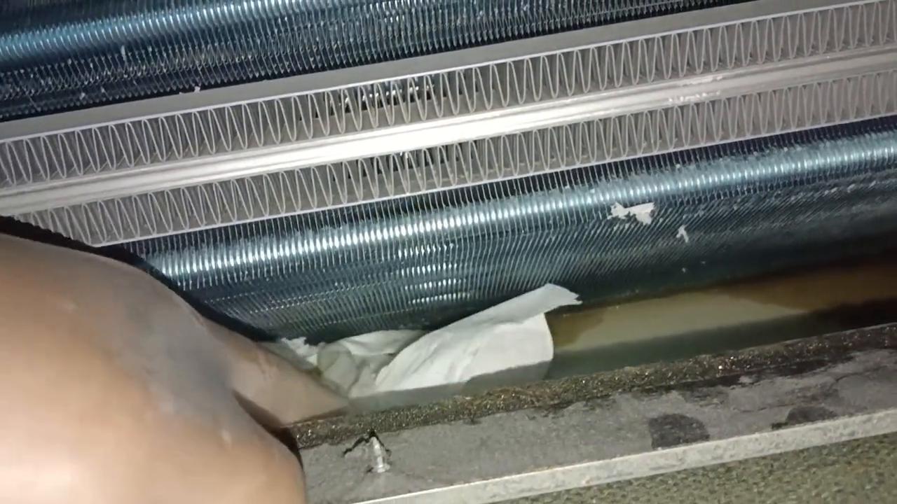 空调有粪便味,空调内机有老鼠屎样的粪便