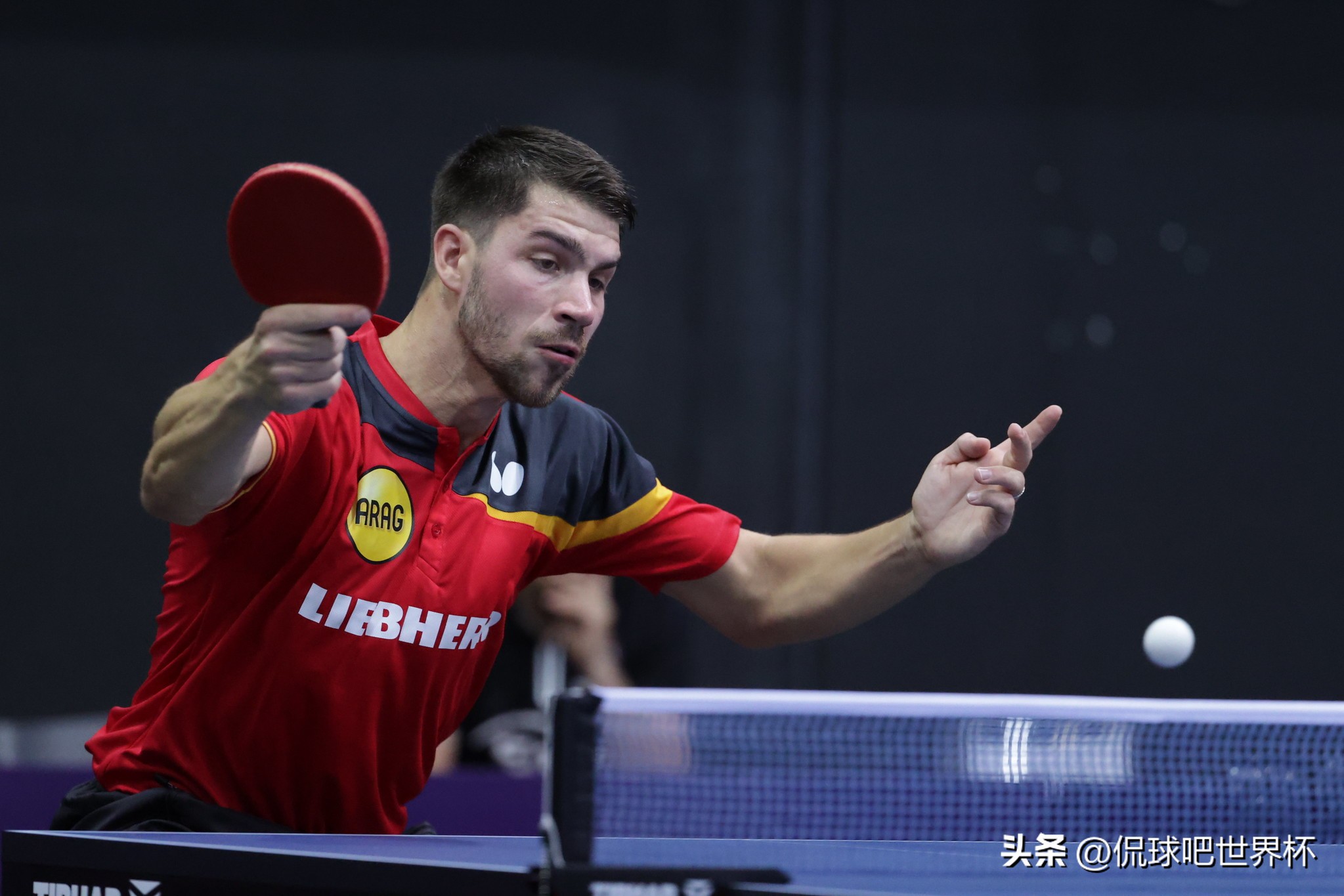 世乒赛最大黑马进决赛,世乒赛欧洲黑马战胜张本智和