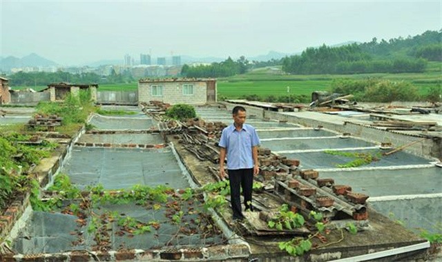 广西养蛇人视频,养蛇人最怕的毒蛇