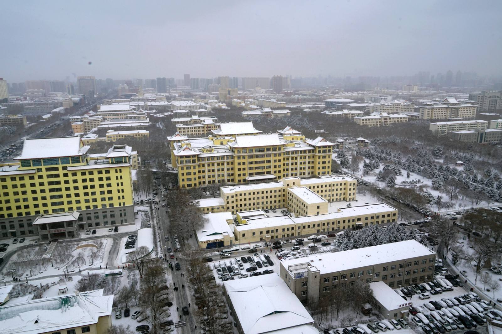 哈医大和黑龙江中医药大学实力强悍，但入选双一流竞争压力较大