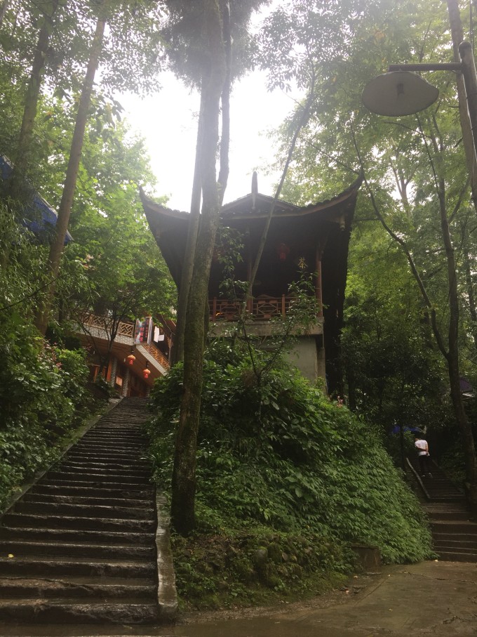 青城后山白云索道上山大概几分钟,青城后山游玩攻略大全