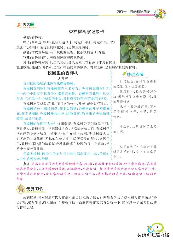 三年级下册语文七彩作文,七彩同步作文三年级下册